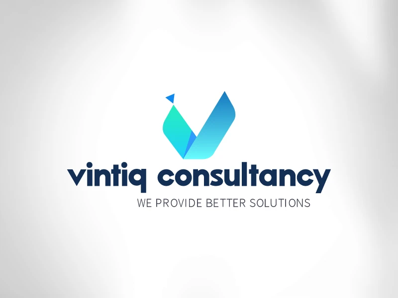 Vintiqconsultancy -1
